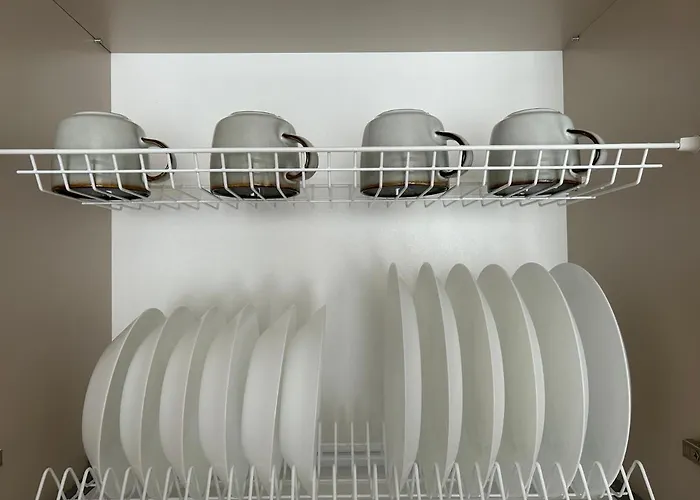 Next To Sakura Park And Near Ferry Klaipeda